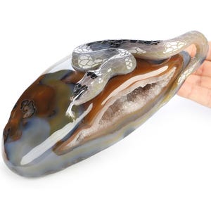 8.3&quot; Premium Brazilian Agate Hand Carved Crystal Snake Sculpture, Crystal Healing