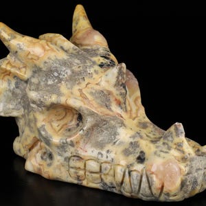 5.1&quot; Crazy Lace Agate Hand Carved Crystal Dragon Skull Sculpture, Crystal Healing, Home Decor Sculpture, Crystal Gift