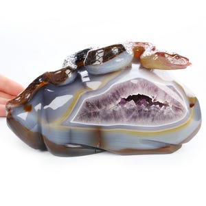 7.5&quot; Premium Brazilian Agate Hand Carved Crystal Snake Sculpture, Crystal Healing