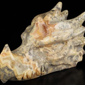 5.5&quot; Crazy Lace Agate Hand Carved Crystal Dragon Head Skull Sculpture, Crystal Healing, Home Decor Sculpture, Crystal Gift