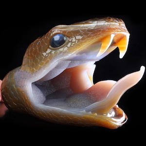 Amazing 7.9&quot; Premium Brazilian Agate Hand Carved Crystal Snake Sculpture, Crystal Healing