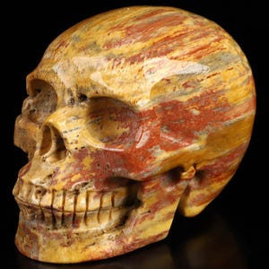 3.9&quot; Petrified Wood Hand Carved Crystal Skull, Home Decor Sculpture, Crystal Gift