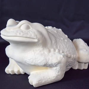 May include: A white ceramic frog figurine with a textured surface. The frog is in a seated position with its front legs extended. The figurine has a detailed, bumpy texture and is set against a dark background.
