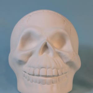 May include: A white, ceramic skull with detailed facial features, including eye sockets, a nasal cavity, and a full set of teeth. The skull is set against a light blue background, creating a stark contrast.