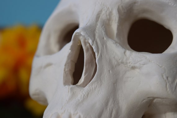 LIFKOME Styropor Schädel 4er Set - 13cm Weiße Schädel Zum Bemalen Für Halloween