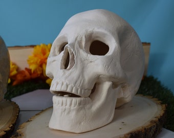 Bisque Ceramic Skull | Ceramic Skull | DIY | PYO | Paint Your Own | Skull | Halloween Decor | Scary Art | Spooky Skull  | Halloween Project