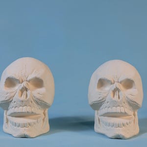 May include: Two white skull sculptures with detailed facial features, including eye sockets, a nose cavity, and a jawline. The skulls are set against a light blue background, creating a stark contrast. The sculptures appear to be made of a plaster or ceramic material.