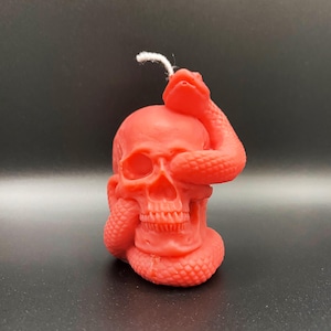 Skull & Snake Soy Wax Candle: Esoteric Pagan Altar Decor