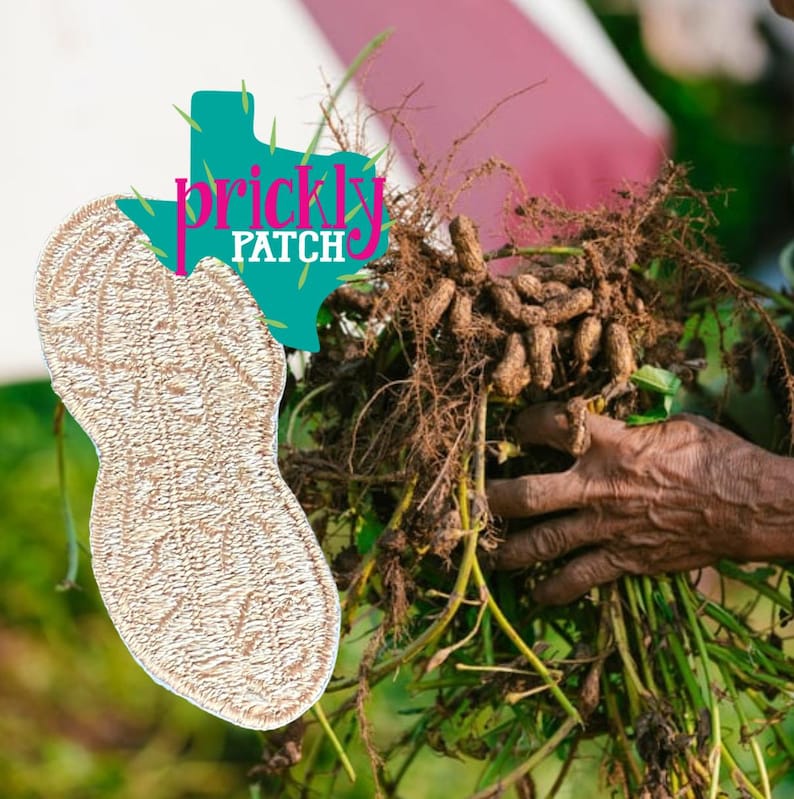 Peanut Patch image 1