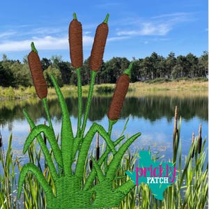 Cattails Patch