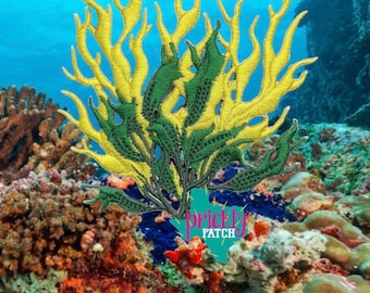 Sea Fan Patch