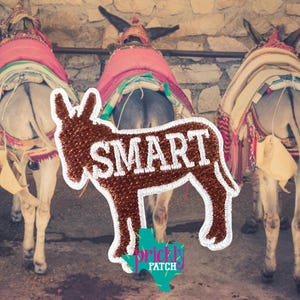 Smart Ass Patch