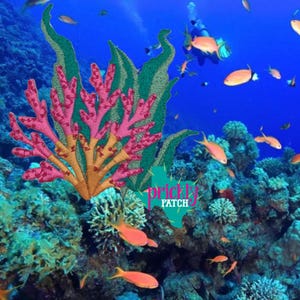 Coral Patch