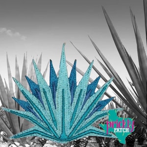 Blue Agave Patch
