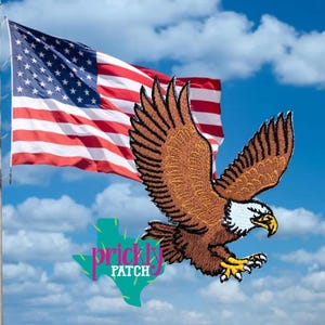 Eagle Patch
