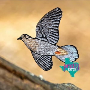 Dove Patch