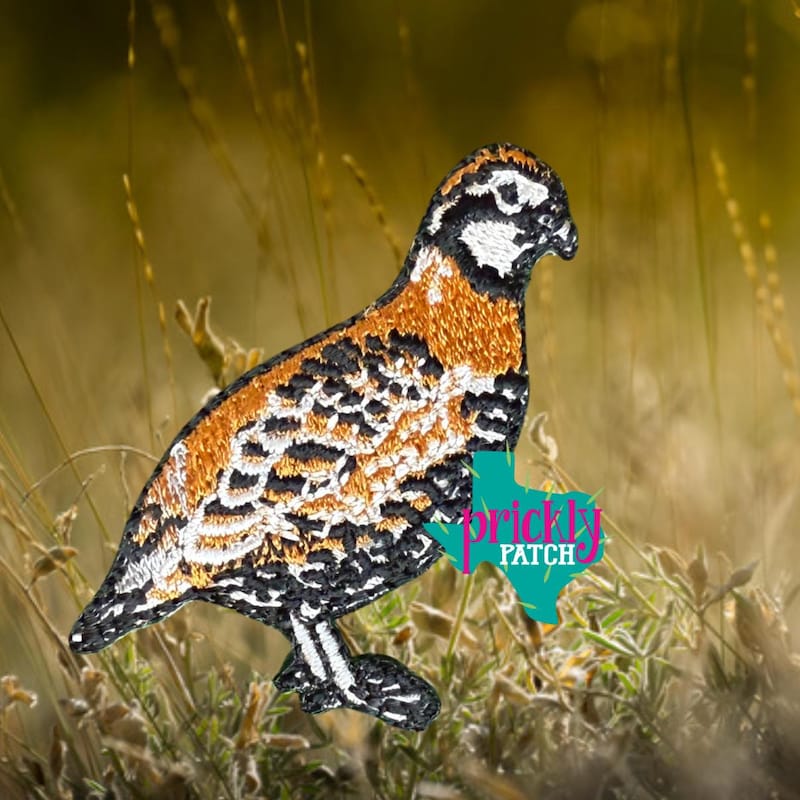 Quail Patchwork Quail Embroidery - Etsy