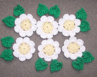 6 yellow and white crochet applique flowers with leaves  --  2898