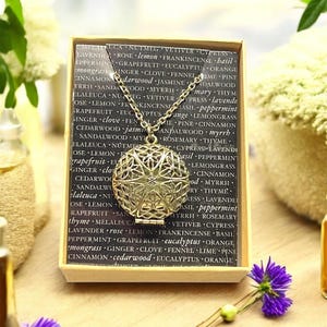Antique Bronze Essential Oil Diffuser Necklace, Aromatherapy Locket