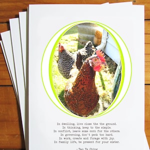 Literary Chicken Greeting Card - Lao Tzu; Live Close to the Ground