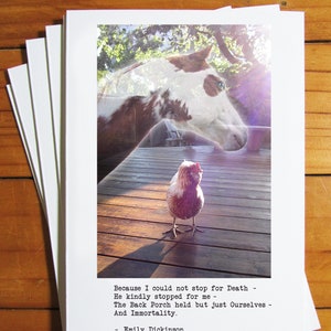 Literary Chicken Greeting Card - Emily Dickinson; Because I Could Not Stop For Death He Kindly Stopped For Me