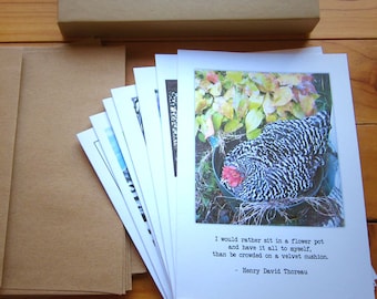 Literary Chicken Greeting Cards - Gift Box Set of 8, Handmade Chicken Art