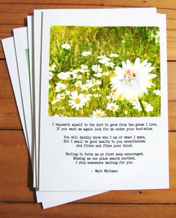 Literary Chicken Greeting Card Walt Whitman I Bequeath Myself to the Dirt -  Etsy