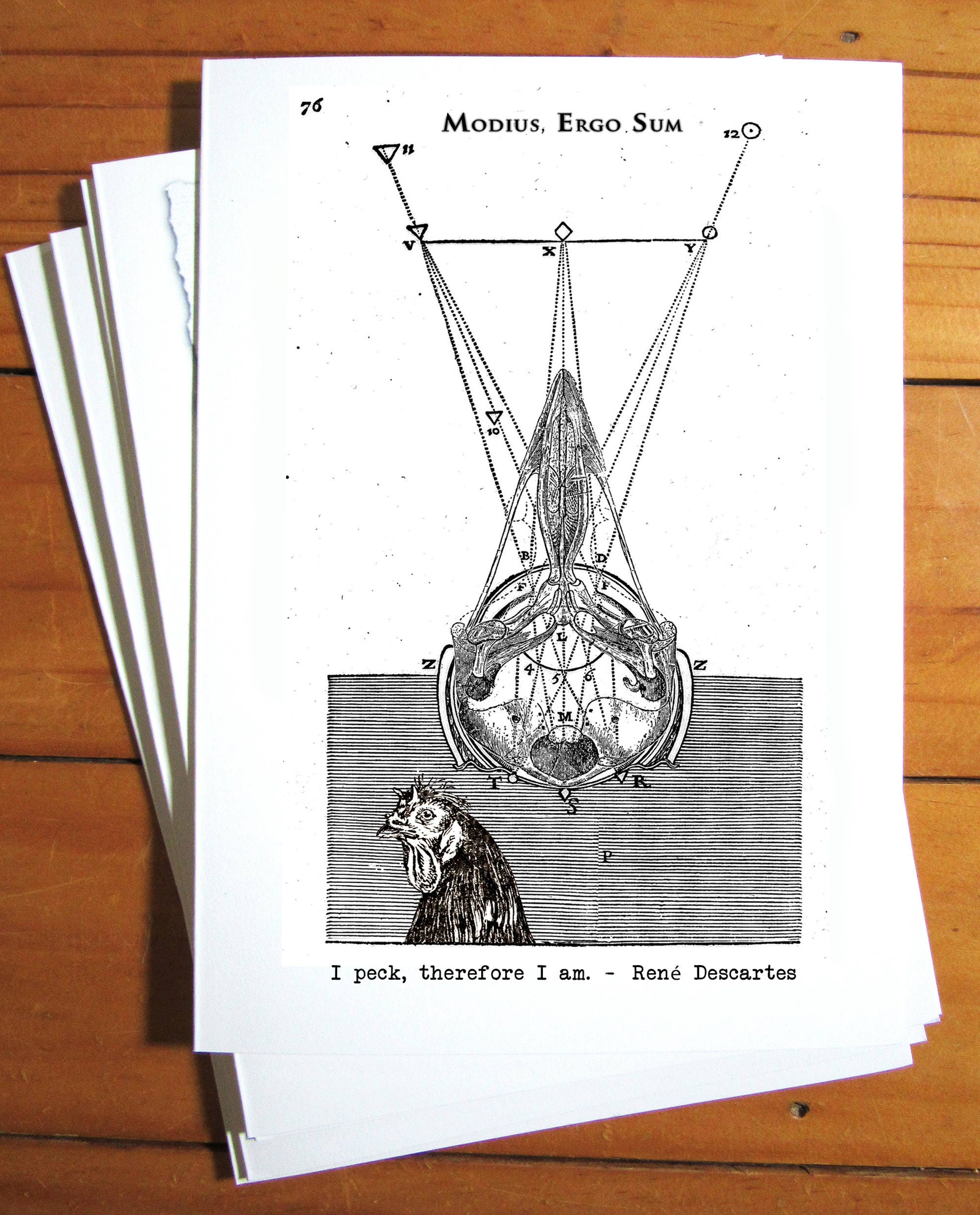 Literary Chicken Greeting Card - René Descartes; I Peck, Therefore I Am -  Etsy, image size:2000x2480