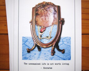 May include: A vintage-style, ornate, wooden framed mirror with a bird inside. The mirror is on a blue and white tiled surface. The text below the mirror reads "The unexamined life is not worth living. - Socrates".