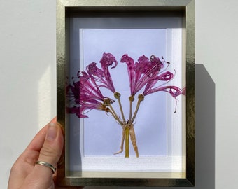 Irish dried flower art - “blossom tree” one of a kind art piece