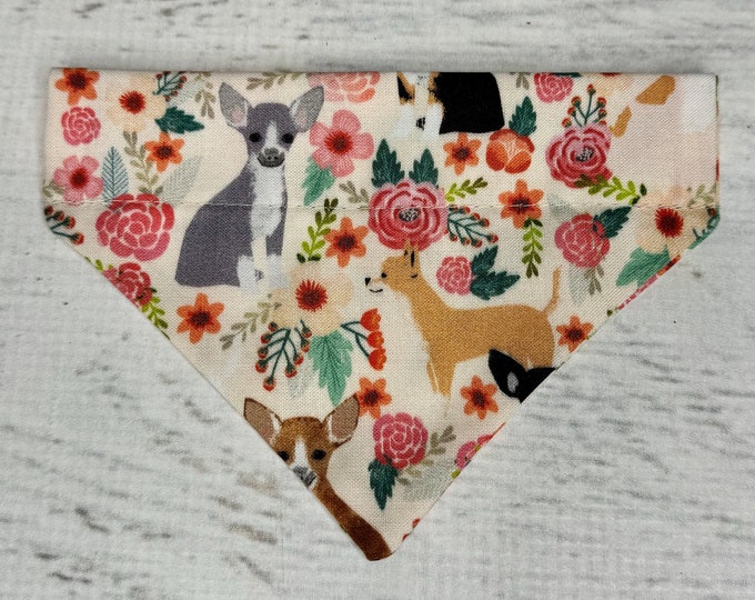 Chihuahua Floral -  Tan - Dog Cat Pet Bandana - Over the Collar - Tropical - Aloha Print - Sizes XS through XL - Dog Accessories - Neckwear