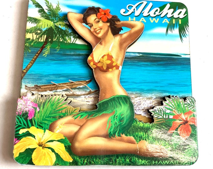 Refrigerator Magnets - Beach Pin Up