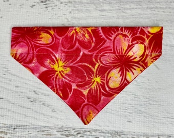 Pink  Yellow Plumeria - Dog Cat Pet Bandana - Over the Collar - Tropical - Aloha Print - Sizes XS through XL - Dog Accessories - Neckwear