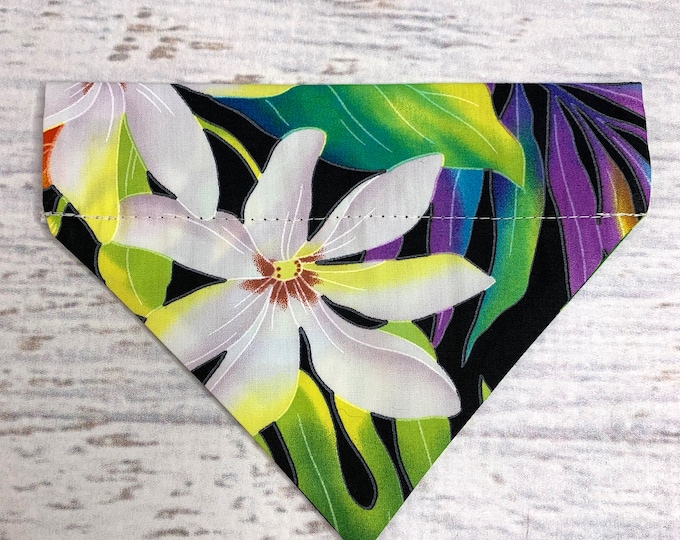 Tiare Ginger Black - Dog Cat Pet Bandana - Over the Collar - Tropical - Aloha Print - Sizes XS through XL - Dog Accessories - Neckwear