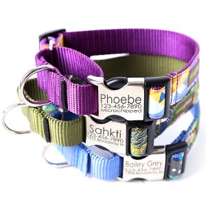 Engraved Buckle Martingale Dog Collar 20 CLASSIC COTTON Dog Collar