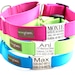 see more listings in the MARTINGALE Dog Collars section