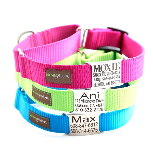 Martingale Dog Collar - Nameplate Dog Collar Personalized with 25 Nylon Colors to Choose From -- Buckle-less Martingale Dog Collar