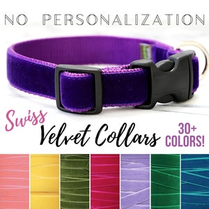 May include: Purple velvet dog collar with a black plastic buckle. The collar is made of soft, high-quality velvet and is available in 30+ colors.  "Swiss Velvet Collars" is written in cursive on the image.