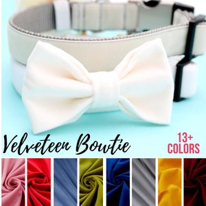 13+ Colors |  VELVETEEN Dog BOWTIE | Wedding Bowtie for Pets | Colorful Collar Bow Handmade in USA | Fancy Chic Dog Party Accessory