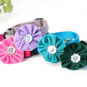 Dog Collar Flower Beautiful Soft VELVET Dog Collar Accessory Wedding Party Dog Flower Special Occasion Dog Collar Removable Flower image 1