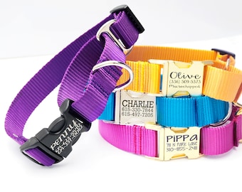 Collare per cani con fibbia Martingale / Personalizzato / 27+ colori di nylon / Addestramento collare a slittamento limitato / Si stringe quando viene tirato