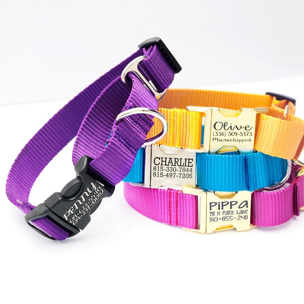 Personalized Training Dog Collars Etsy