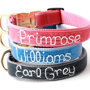 Personalized VINTAGE VELVET Dog Collar - Hand Embroidered with your dog's name - Gold buckle collar - Monogram Dog Collar
