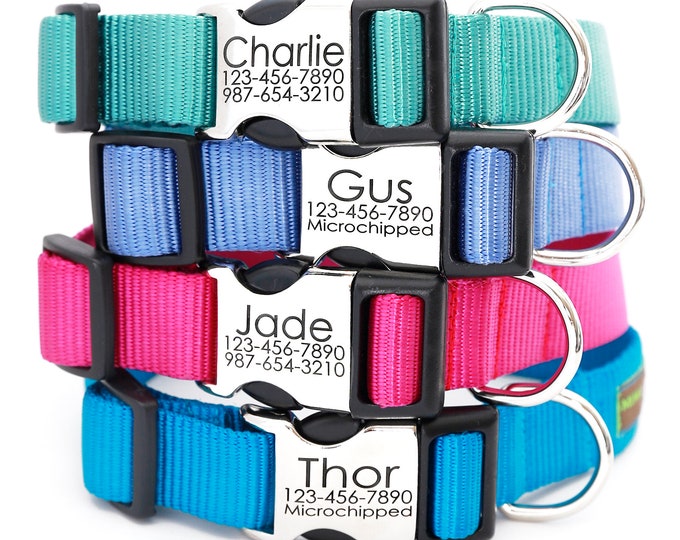 Personalized Dog Collars for the Super Cool Dog by shopmimigreen