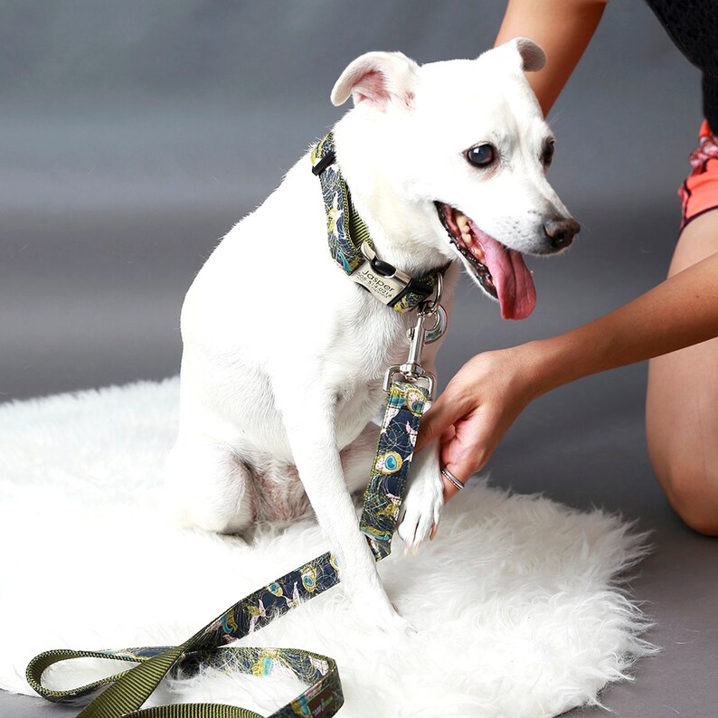 May include: A white dog wearing a green and blue patterned collar with a silver tag that says "Jowler" is sitting on a white fluffy rug. The dog is wearing a matching green and blue patterned leash.