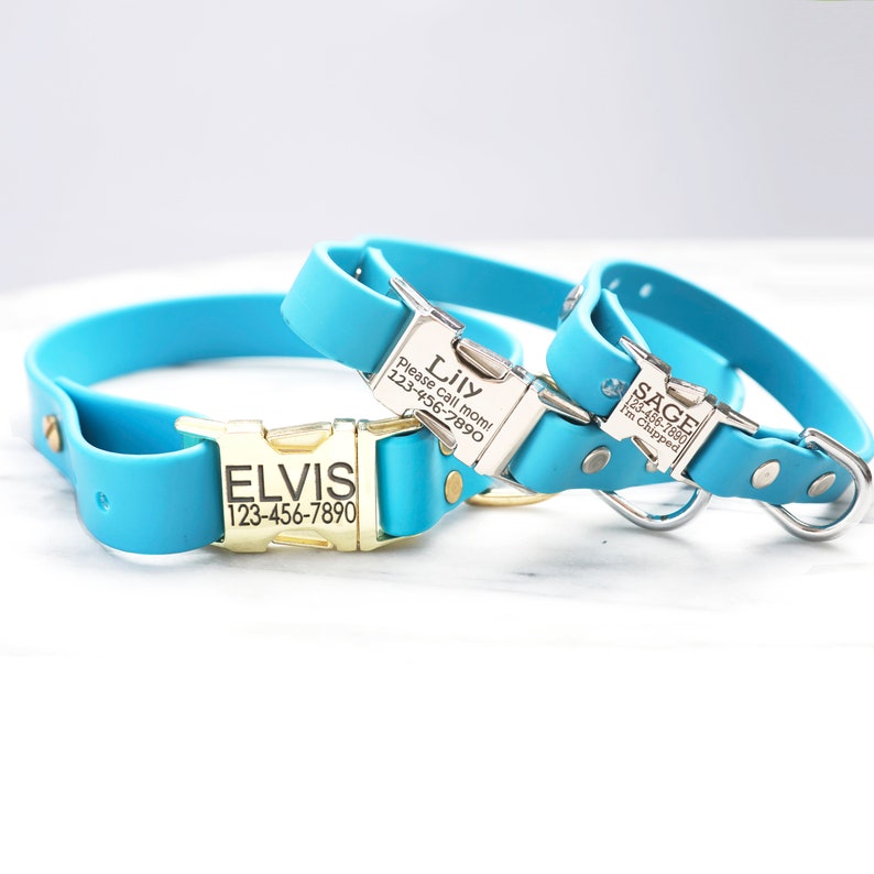 Pode incluir: Tr&ecirc;s coleiras de cachorro turquesa com etiquetas de identifica&ccedil;&atilde;o gravadas em prata e ouro. As coleiras est&atilde;o sobre uma superf&iacute;cie branca. As etiquetas de identifica&ccedil;&atilde;o dizem "Elvis 123-456-7890", "Lily Por favor, ligue para a mam&atilde;e! 123-456-7890" e "Sage 123-456-7890 Sou microchipado".