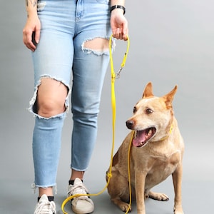 Hands Free Dog LEASH Waterproof Convertible Dog Lead 22 Biothane Colors Wear 3 Ways Waist Dog Leash Adjustable Leash image 6