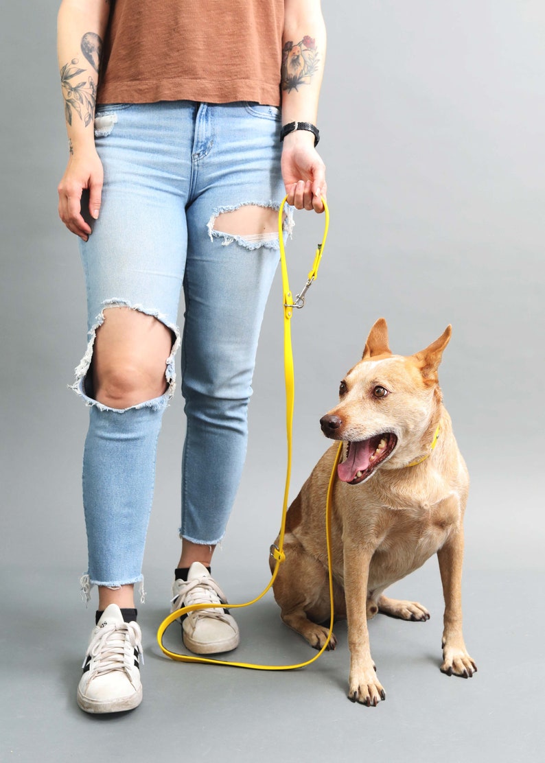 Hands Free Dog LEASH Waterproof Convertible Dog Lead 22 Biothane Colors Wear 3 Ways Waist Dog Leash Adjustable Leash image 6