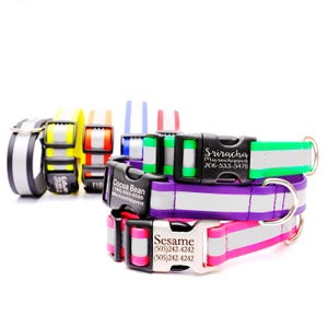 Lightweight Reflective Biothane Waterproof Dog Collar with Engraved Buckle | The Day Trip Collection | Biothane Dog Collar | 4 Colors