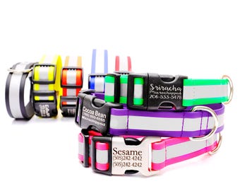 Collar reflectante de biotano cosido para perros: impermeable, hebilla grabada, colección para excursiones de un día